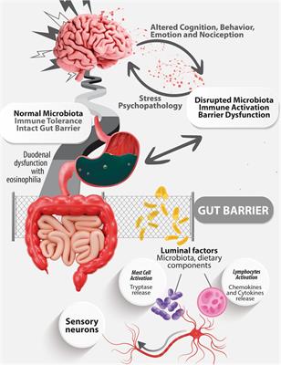 Unraveling the complexity of Disorders of the Gut-Brain Interaction: the gut microbiota connection in children